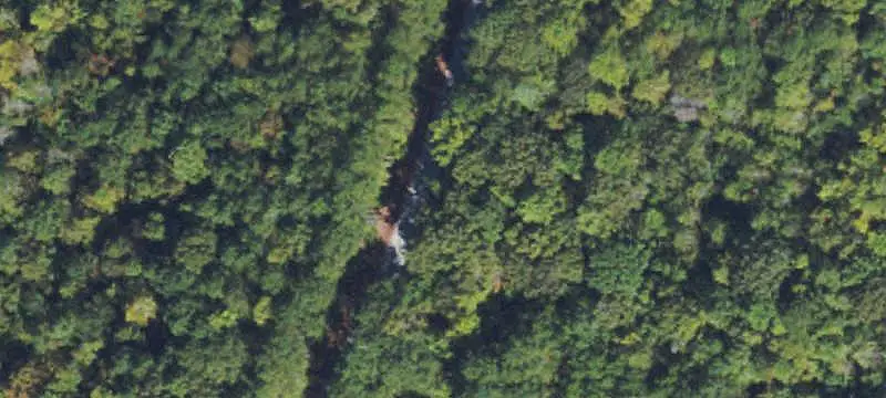 Hunting Land with Travel Trailer