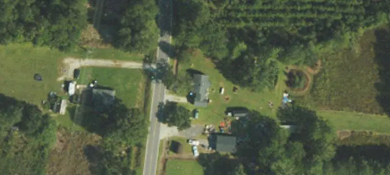 Cutover Land Tract