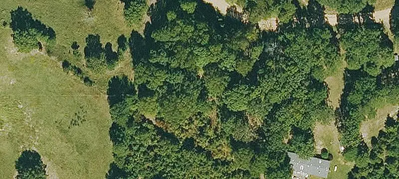 Wooded Agricultural Land with Pond