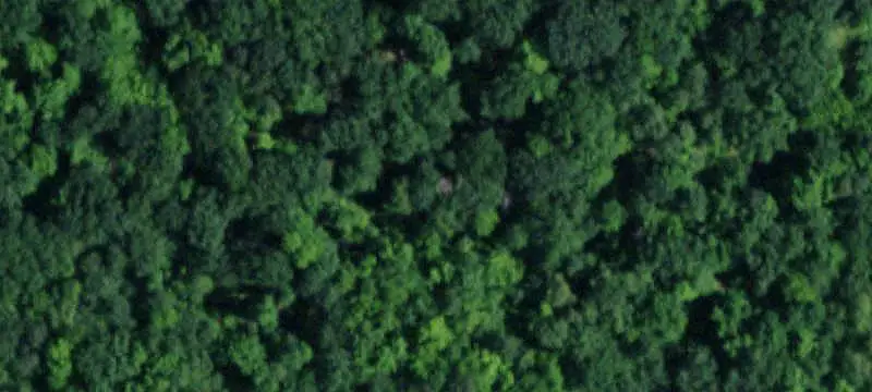 Wooded Hunting Land with Hunting Hut