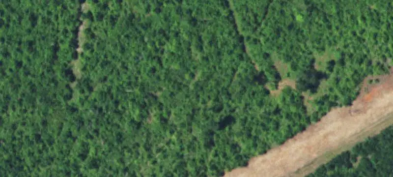 Undeveloped Agricultural Land