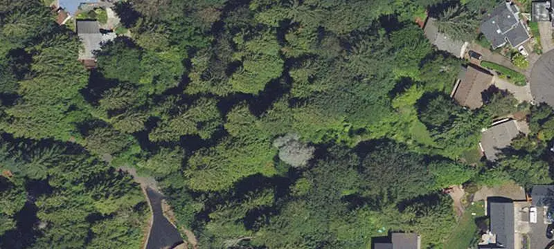 Vacant Land