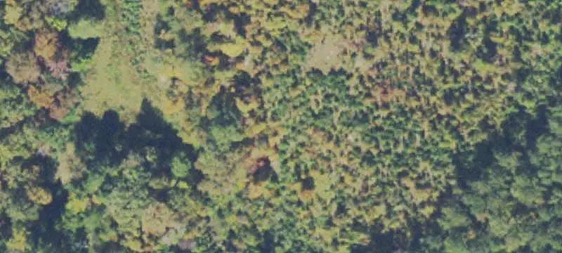 Unimproved Land