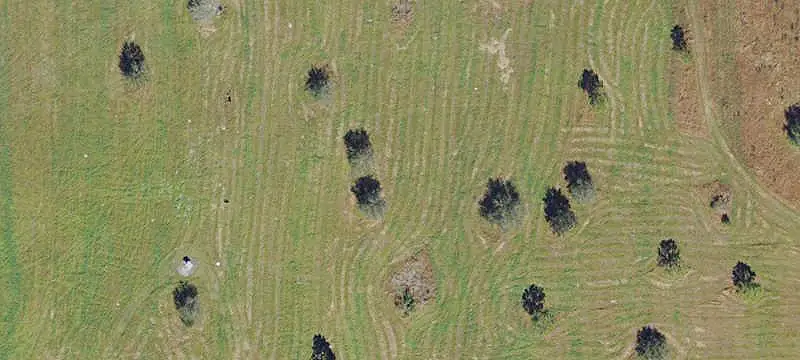 High-Fenced Hunting Ranch