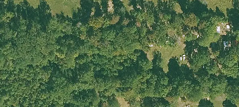 Timbered Rural Land