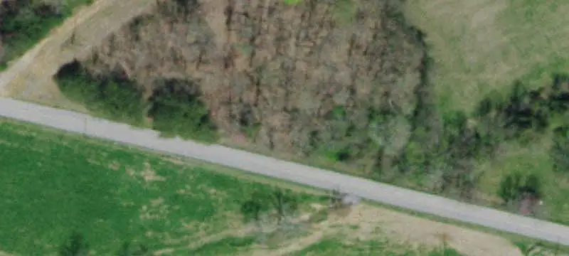Commercial