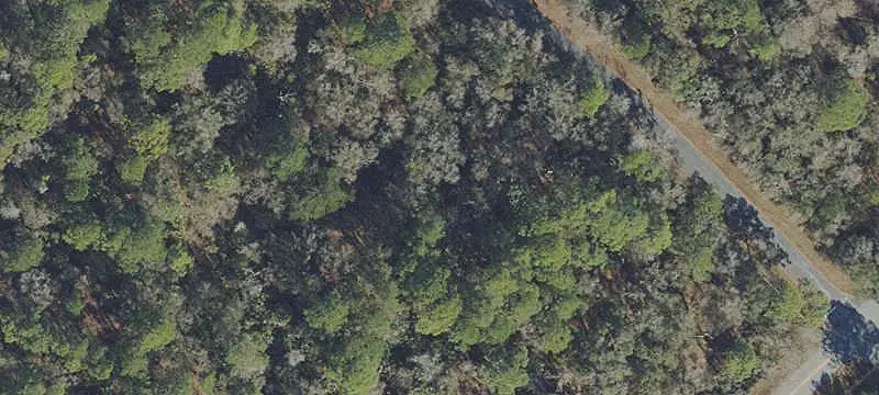 Land
