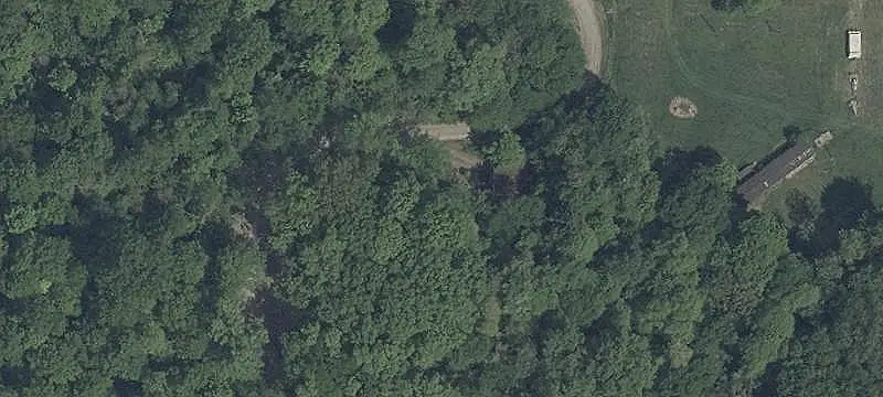 Wooded Hunting Land