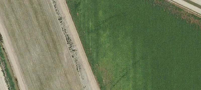 Irrigated Farm With Storage Buildings