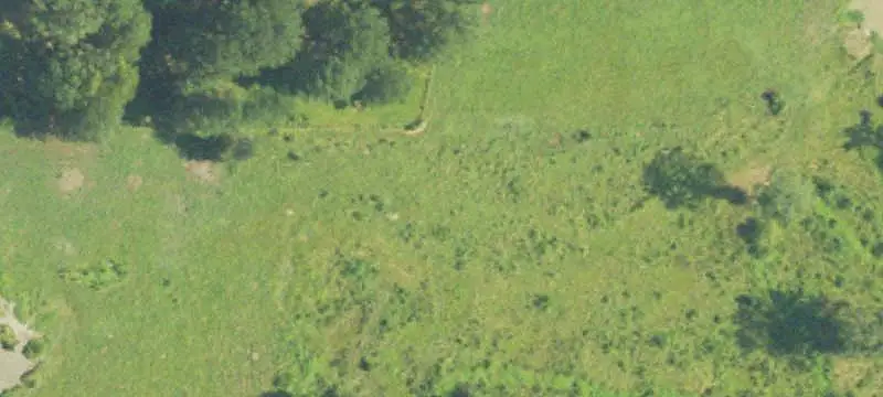 Land/Lot
