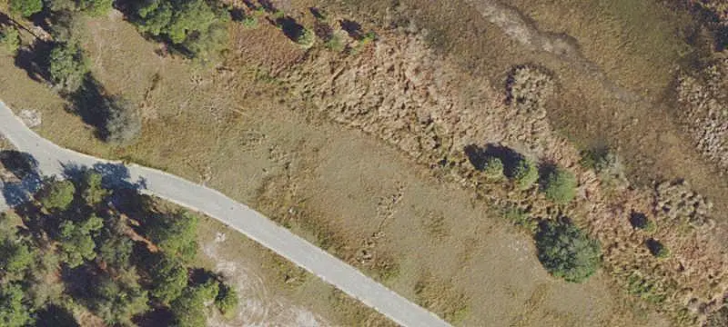 Land