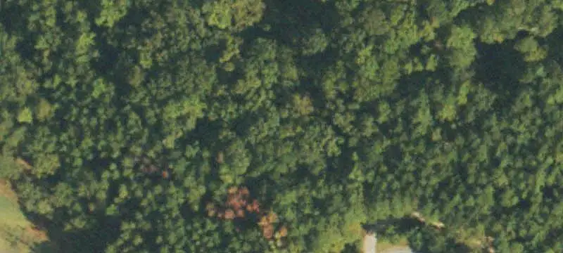 Unimproved Land