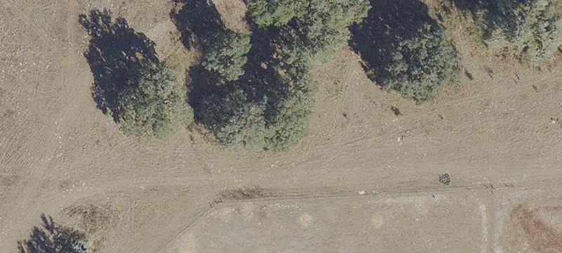 Partly Wooded Land