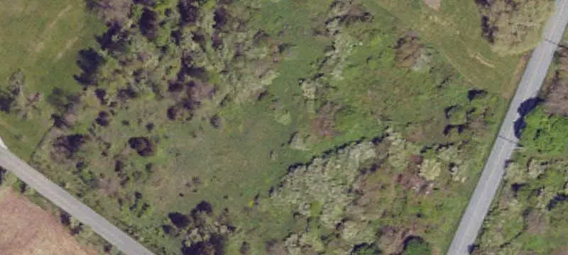 Unimproved Land