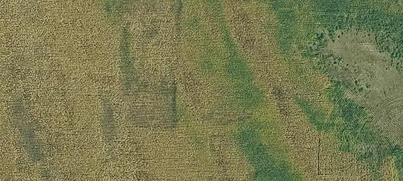 Riverfront Agricultural Farm