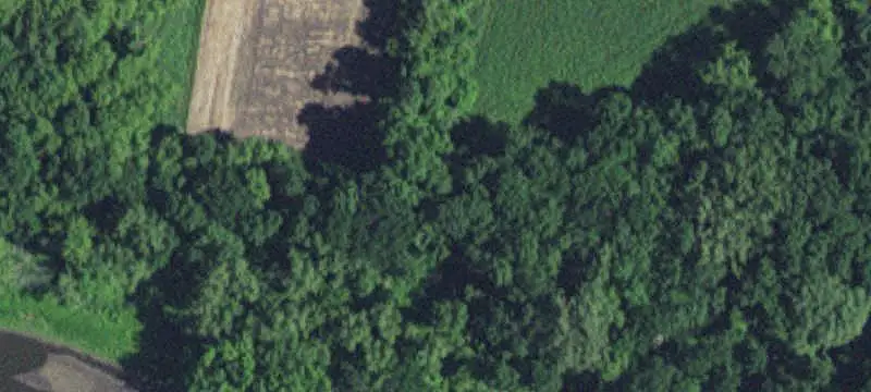 127-Acre Agricultural Farmland