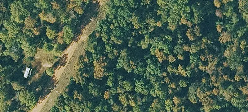Wooded Hunting Land with Cabin