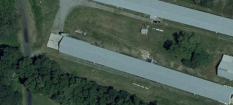 Improved Poultry Farm