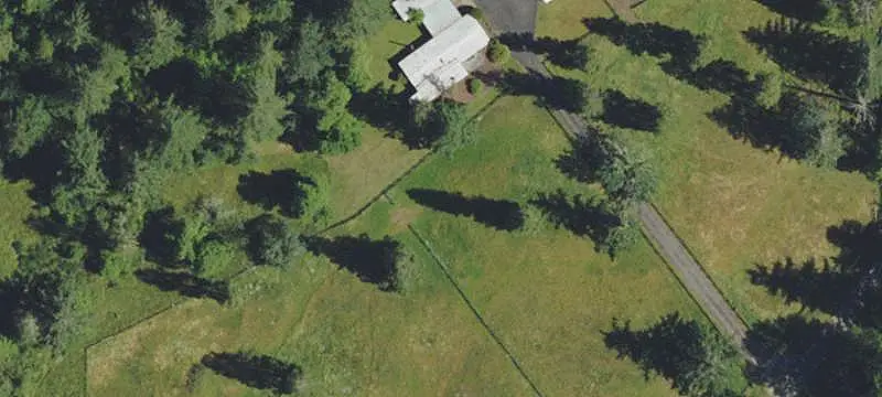 Timber Agricultural Land Tract