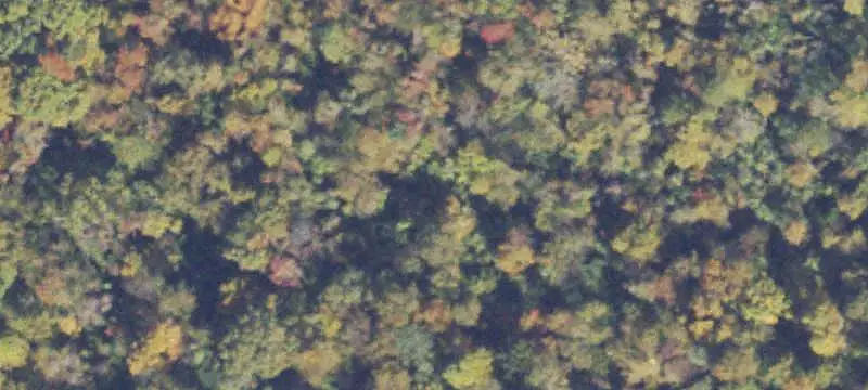 Signalized Corner Commercial Land