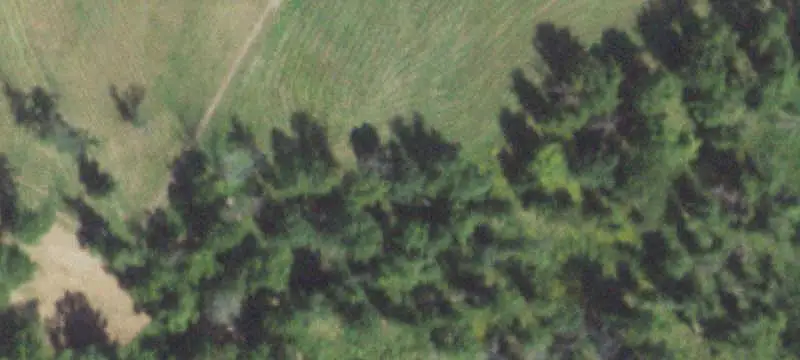 Equestrian Farm with Barn