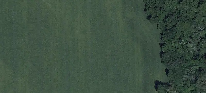 Unimproved Land