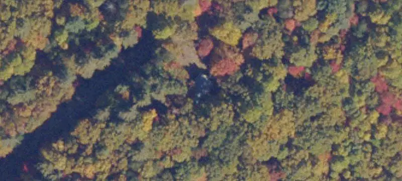 Mountain Hunting Land with Road Access
