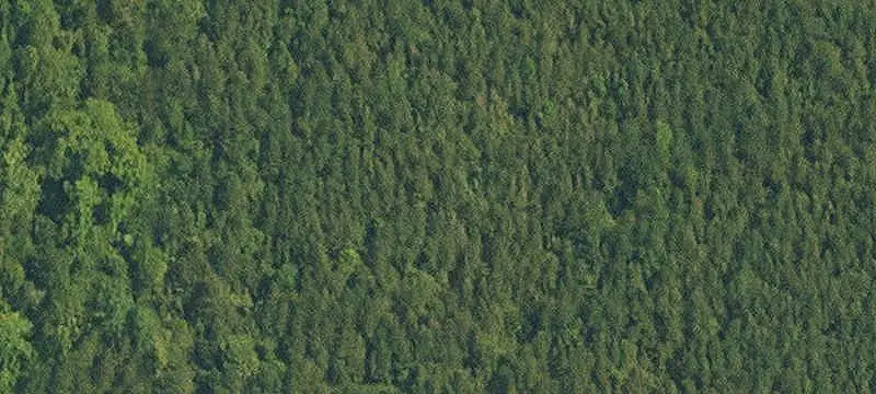 Land Parcel