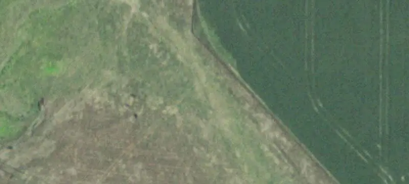 Pastureland with Livestock Outbuildings