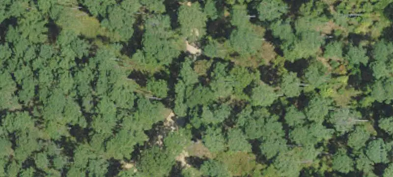 Private Hunting Land Near National Forest