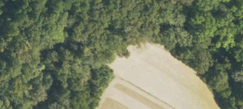 Vacant Land