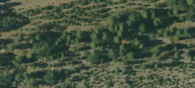 Mountain Creek Land