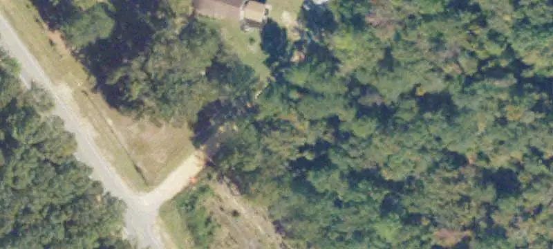Timber and Recreational Farm