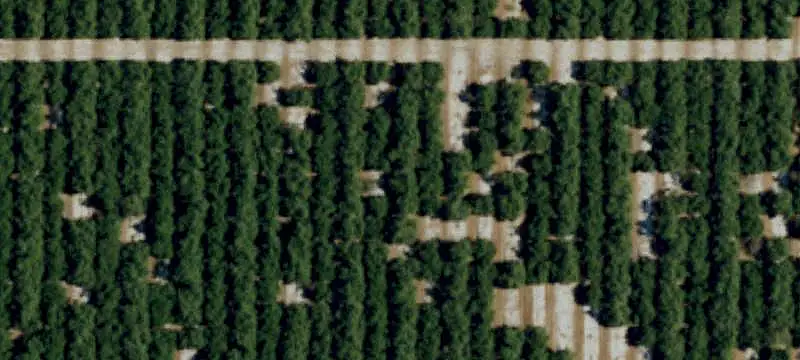 Land/Lot