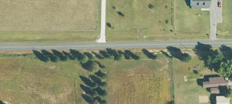 Established Orchard Farmland