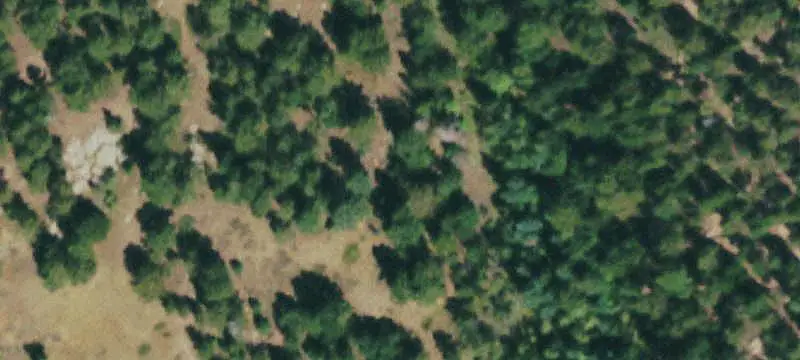 Recreation Land with Mountain Cabin
