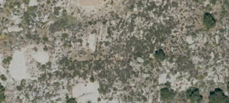 Land