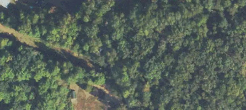 Farm Property with Log Home