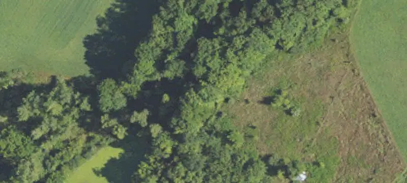 Wooded Hunting Land with Pond