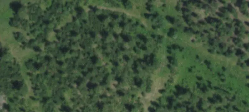 Fenced Agricultural Land