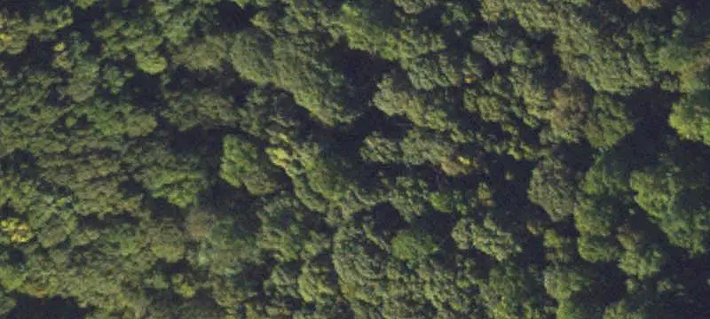 Unimproved Land
