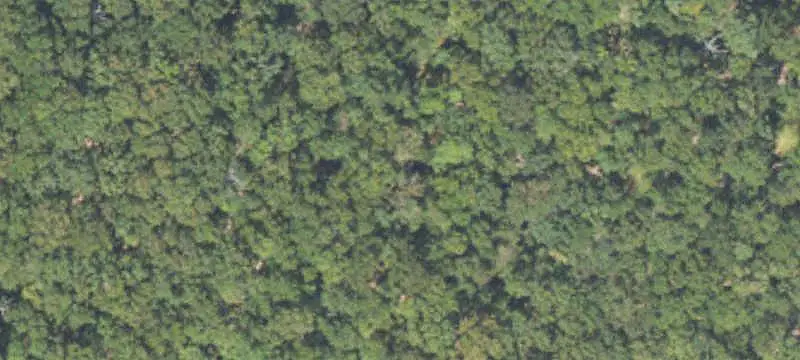 Unimproved Land