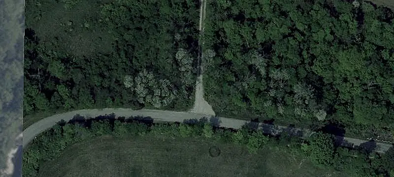 Farmland With Mature Timber