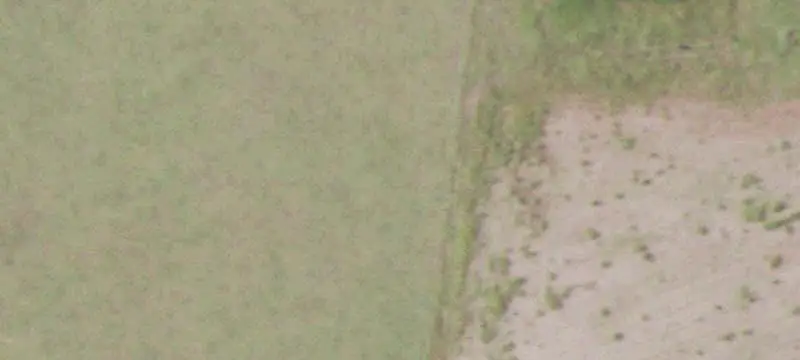 Fenced Farm Property