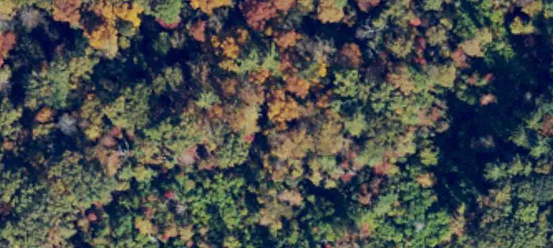 Cleared Land with Well