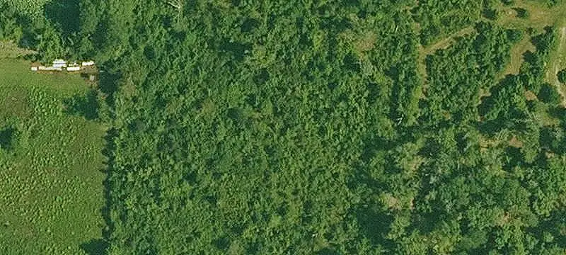 Cleared Agricultural Land