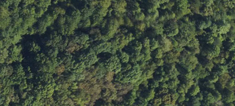 Land/Lot