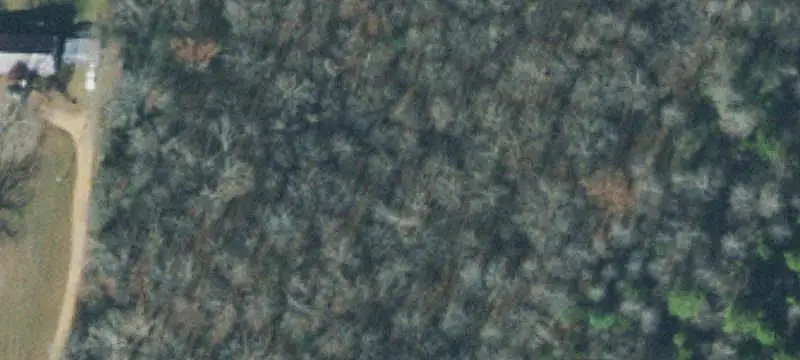 Land or Vacant Lot
