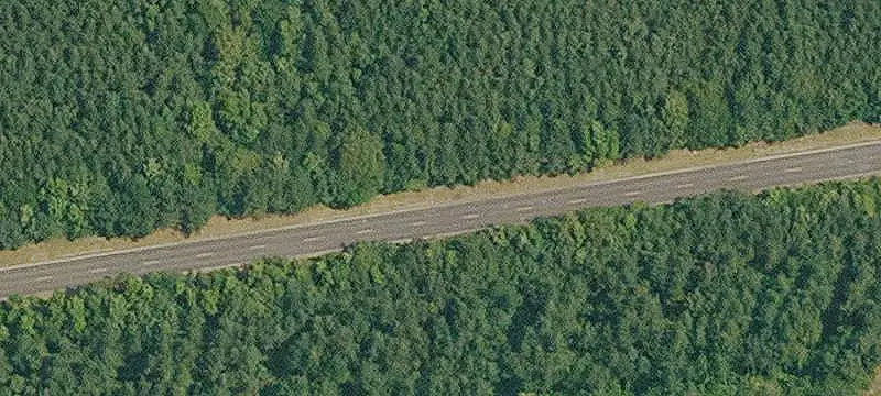 Wooded Hunting Land