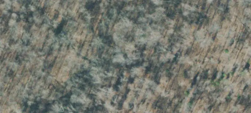 Wooded Hunting Land with Level Areas